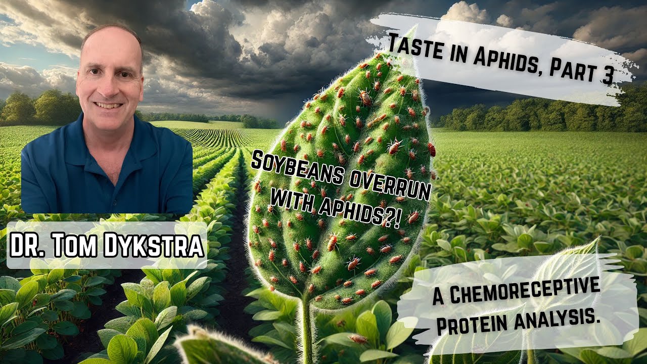 2025 SC Conference | Taste in Aphids a Chemoreceptive Protein analysis. (Part 3) 🚀