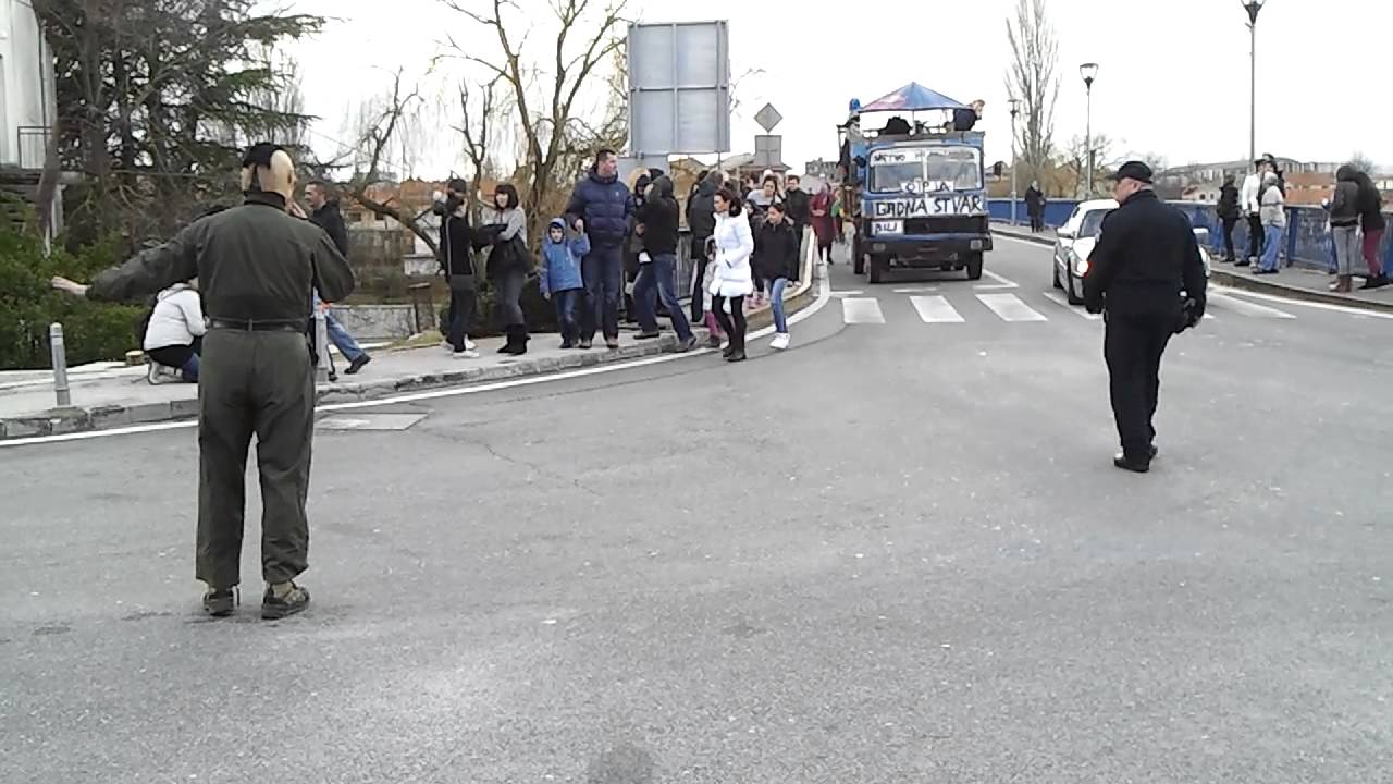 Triljske mačkare 2013