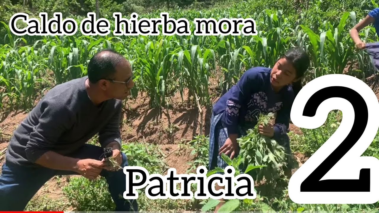Caldo de hierba mora, plato típico de las áreas rurales de Guatemala (No. 2)