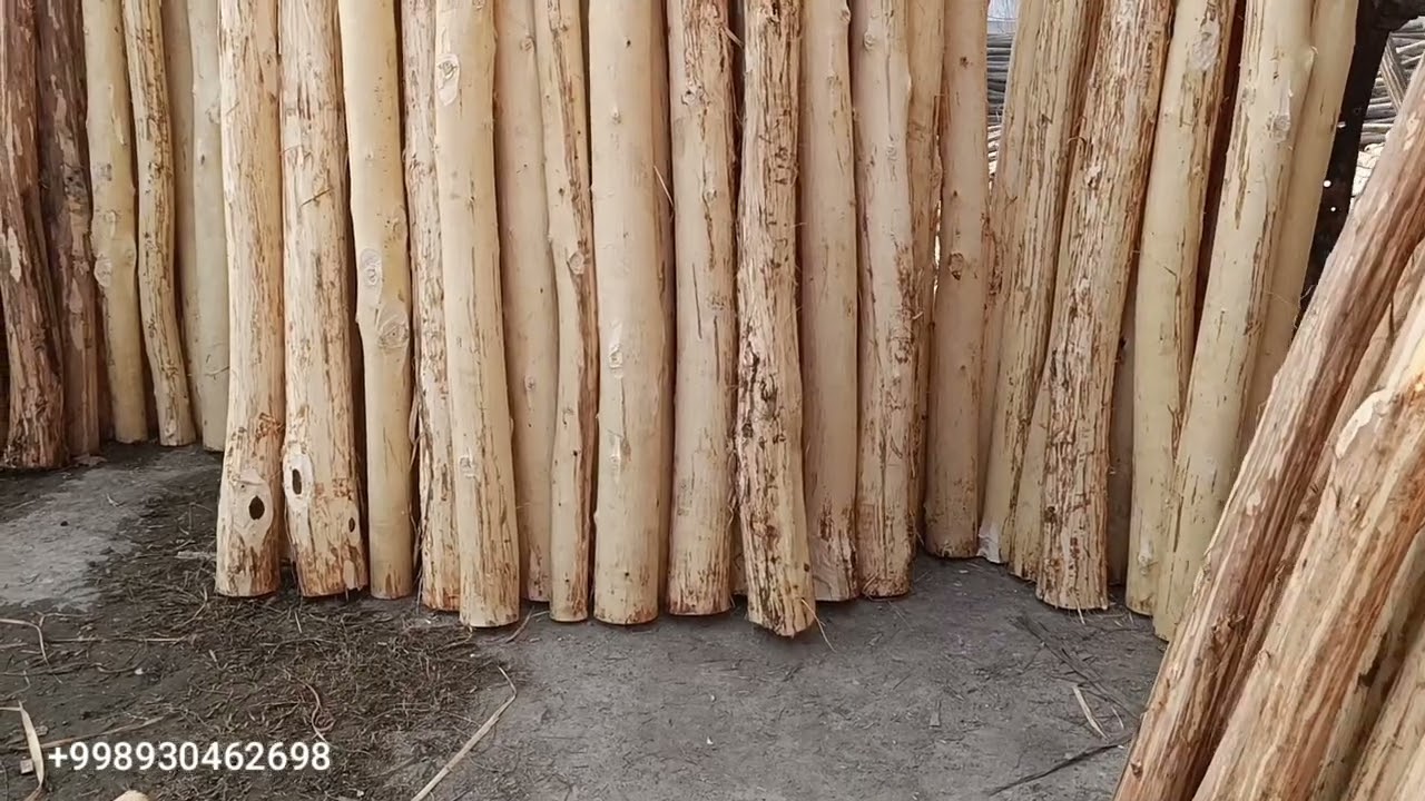 “Assalomu alaykum! Agar sizga mustahkam, quruq va arzon yog‘och kerak bo‘lsa, bu videoda siz uchun
