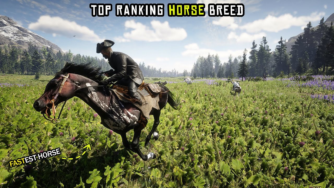 The Ultimate Horse Tier List  Red Dead Redemption 2