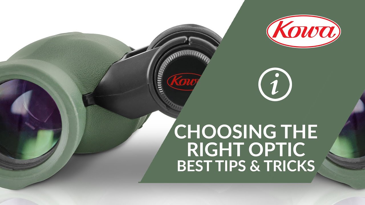 Choosing the Right Optic - Best Tips & Tricks