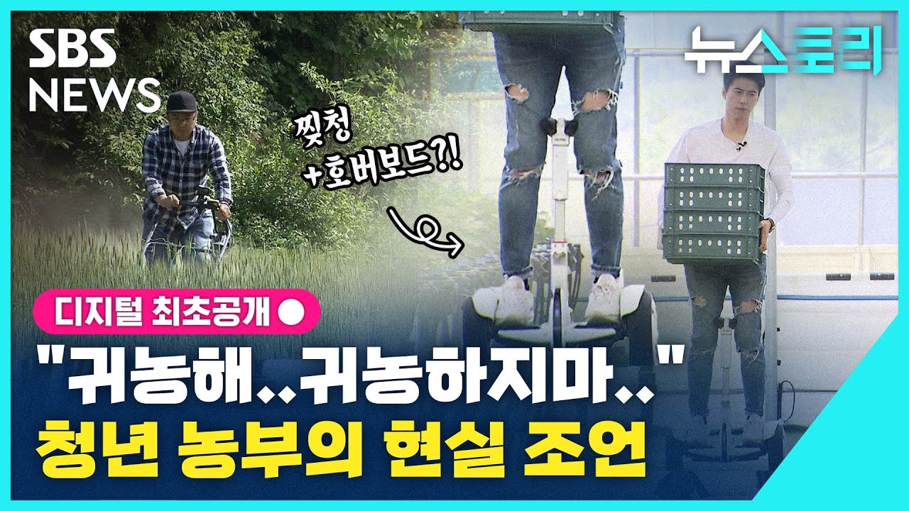 [뉴스토리] 