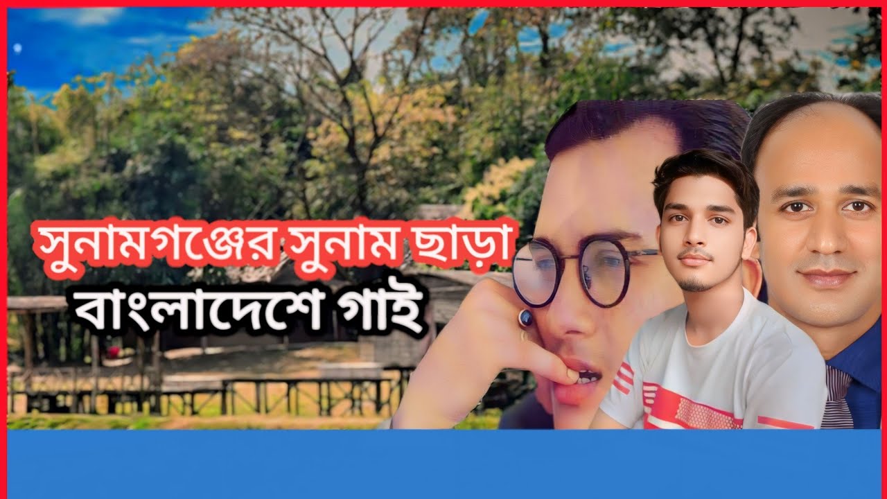 সুনামগঞ্জের সুনাম ছাড়া বাংলাদেশে গাই। sunamganj Sonam Sara Bangladeshi Gayi.  Hasan khan 96