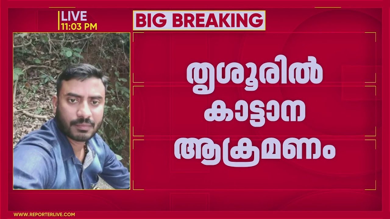 തൃശൂരിൽ കാട്ടാന ആക്രമണത്തിൽ യുവാവിന് ദാരുണാന്ത്യം