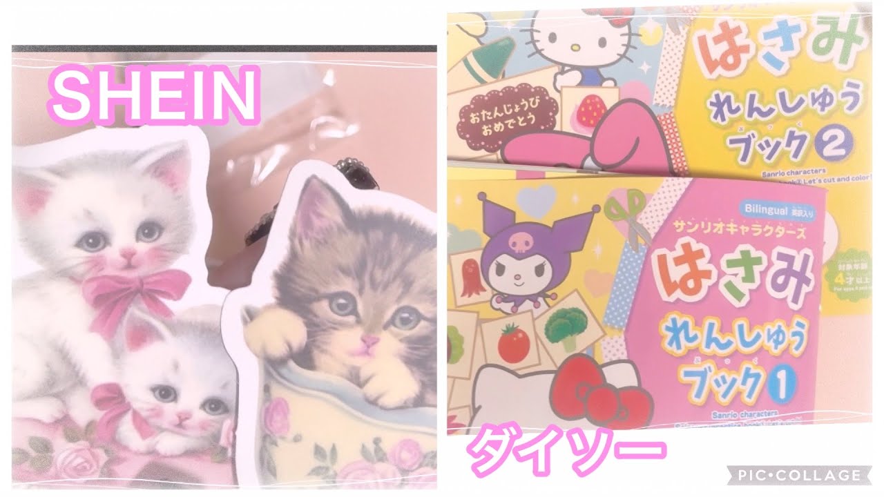 久しぶりのSHEINとダイソー購入品♡