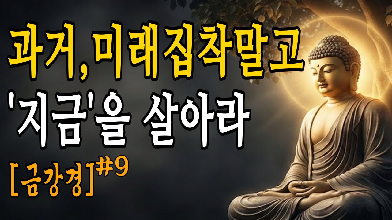금강경 9강 :부처님은 왜 지금을 강조했을까? -과거도 미래도 아닌 '지금'을 사는 법 |금강경해설 | 부처님말씀 | 노후지혜