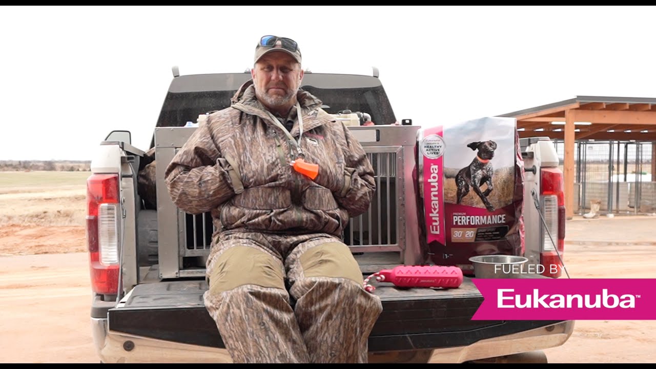 What Does Chris Akin Feed His Dogs?