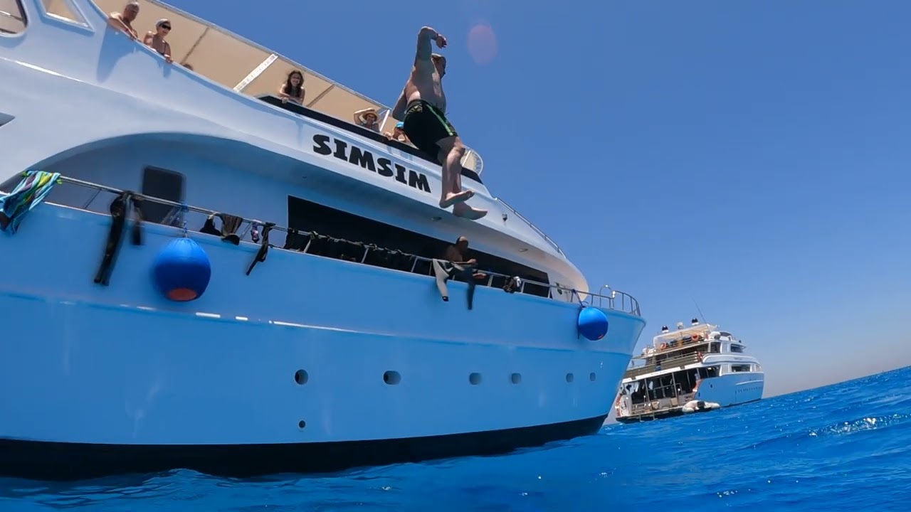 Traumhafte Delfin Touren in Ägypten am Roten Meer