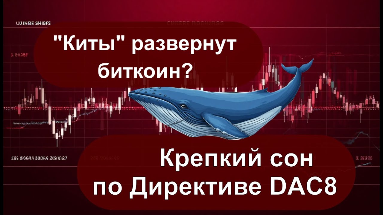 Китовьи аппетиты развернут биткоин/ Запорожский интерес США/ Подушка для сна &ndash; от Директивы DAC8