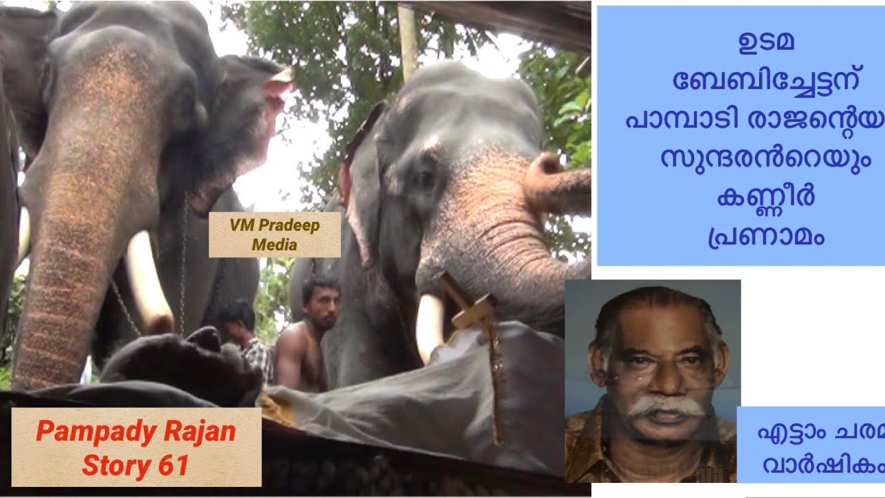 ഉടമ ബേബി ചേട്ടൻറെ മൃതദേഹത്തിനരികെ കണ്ണീർപൊഴിക്കുന്ന പാമ്പാടിരാജനും സുന്ദരനും@V M PRADEEP MEDIA#elephant