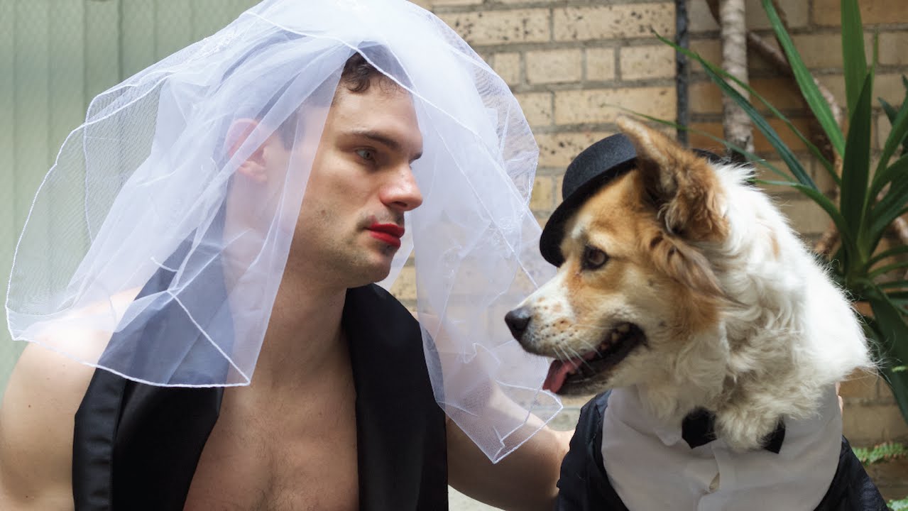 MUSIK FOR POOCHES! Animalbum by Flula Is Here!