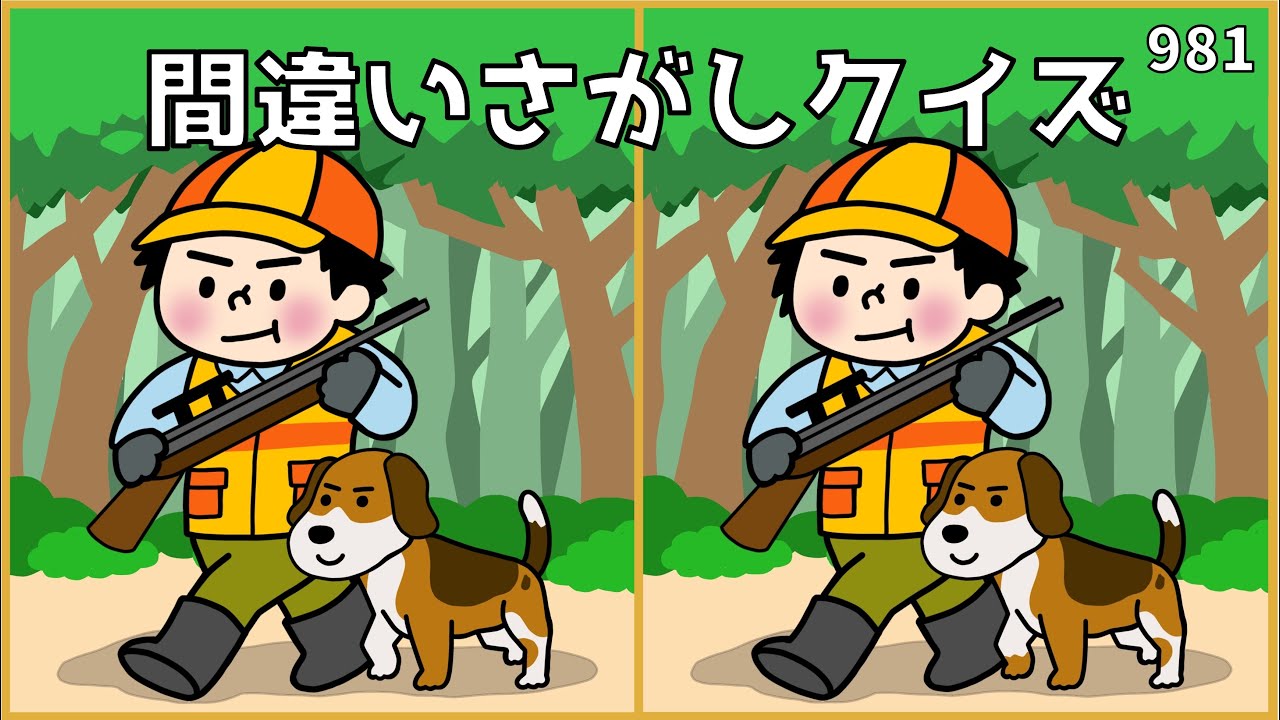 【間違い探しクイズ】頭の体操におすすめ！高齢者向け簡単レク【空間認識能力UP】#981