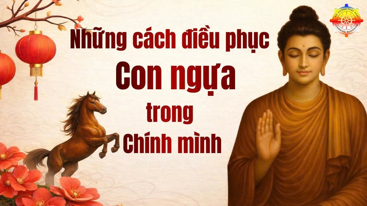 Practices for taming the wild horse within | Thích Tâm Điển