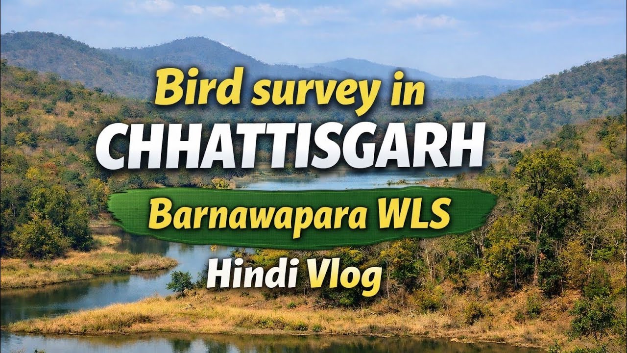 Bird Survey in Chhattisgarh | Barnawapara WLS | Hindi Vlog