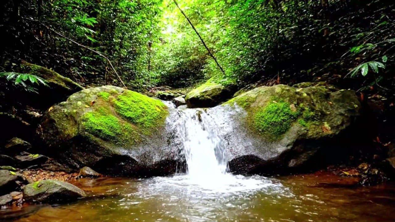 CALMING RIVER FLOW AMBIENCE FOR DEEP SLEEP, STUDY FOCUS AND INSOMNIA HEALING | 8 HOURS REAL