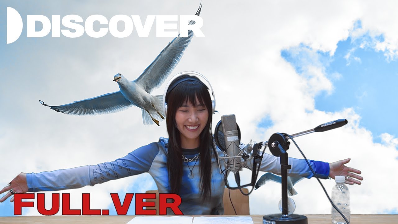 Full.ver | 매미의 디스커버 | DISCOVER | KBS 230527 방송