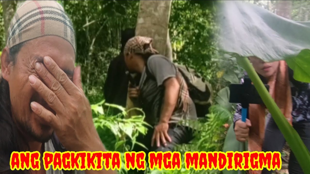 Ang pagkikita ng mga mandirigma