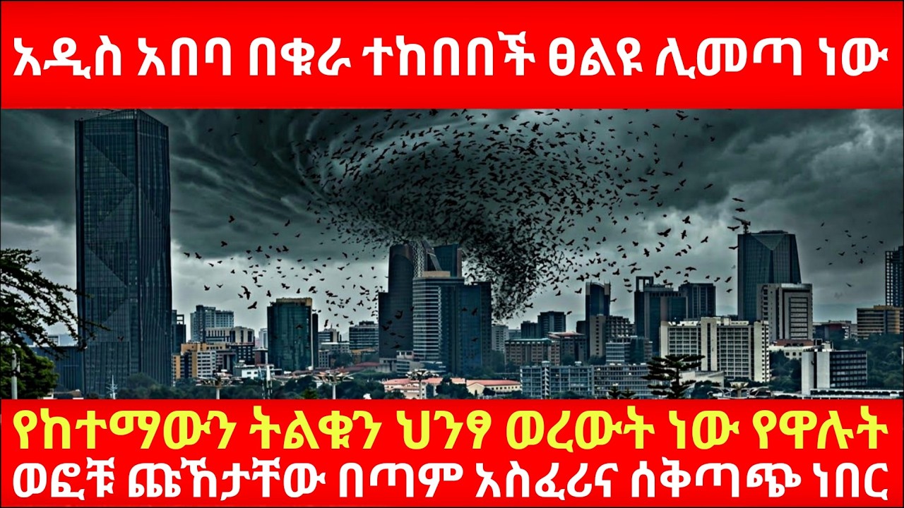 አዲስ አበባ በቁራ ተከበበች ፀልዩ ሊመጣ ነው የከተማውን ትልቁን ህንፃ ወረውት ነው የዋሉት ወፎቹ ጩኸታቸው በጣም አስፈሪና ሰቅጣጭ ነበር