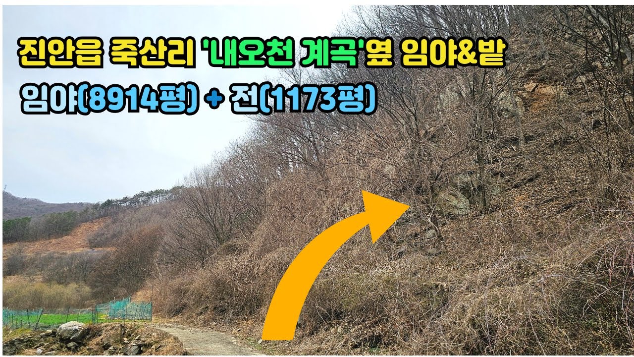 [2415] 약1만평 진안읍 죽산리 토지[임야+전] 매매1억원