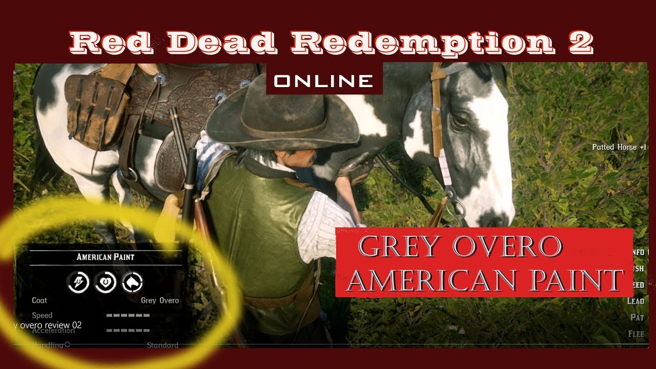 Red Dead Redemption 2 ONLINE_Grey Overo Horse Review