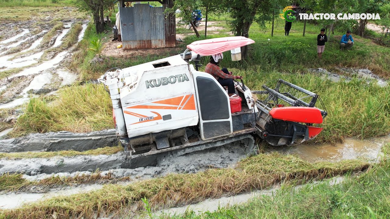 Best Combine Rice Harvester Kubota Working In Deep Mud | Safety Operating Techniques Cutting Machine