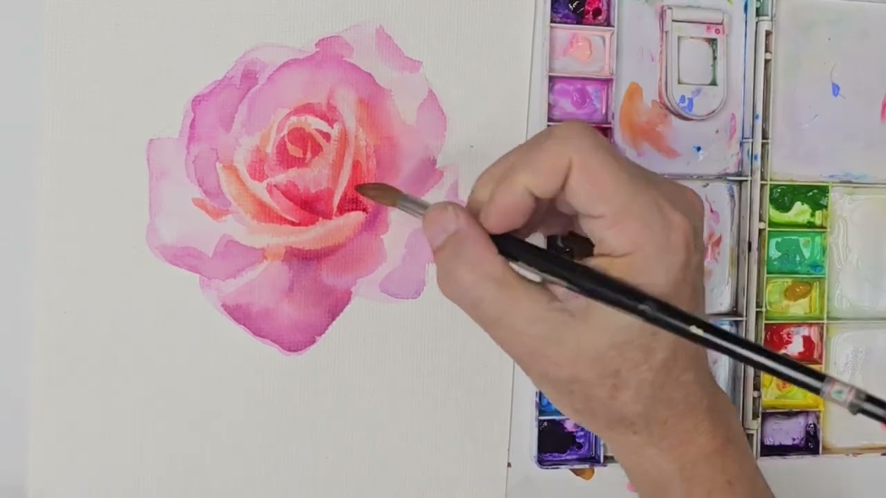 水彩畫玫瑰花How to paint beautiful rose with watercolor