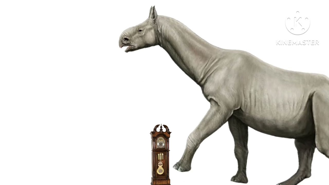 Hickory Dickory dock paraceratheruim (old version)