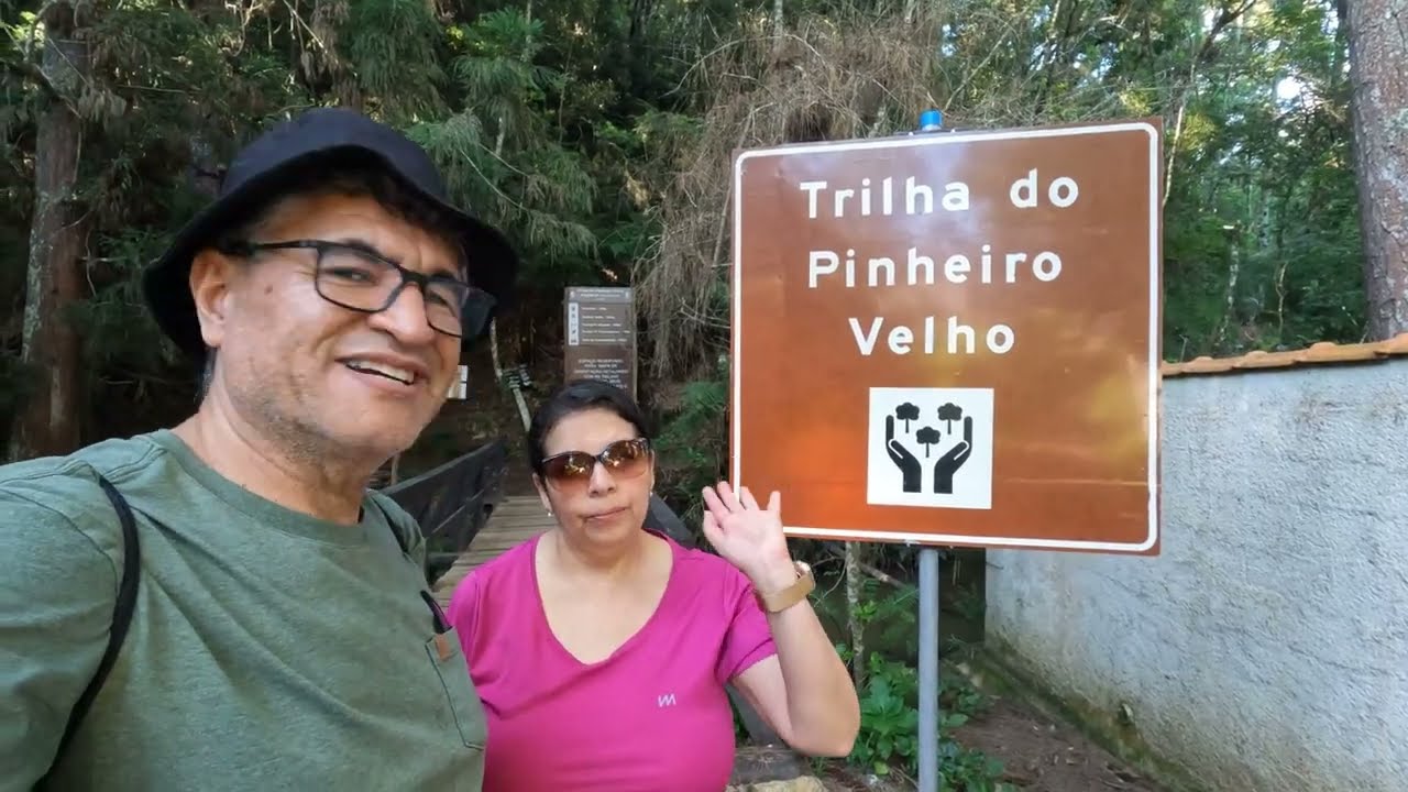Monte Verde - Trilha do Pinheiro Velho
