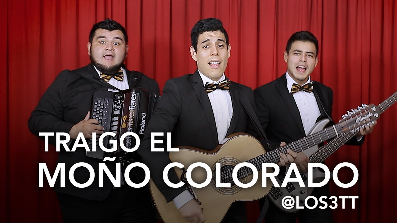 Traigo el mo&ntilde;o colorado