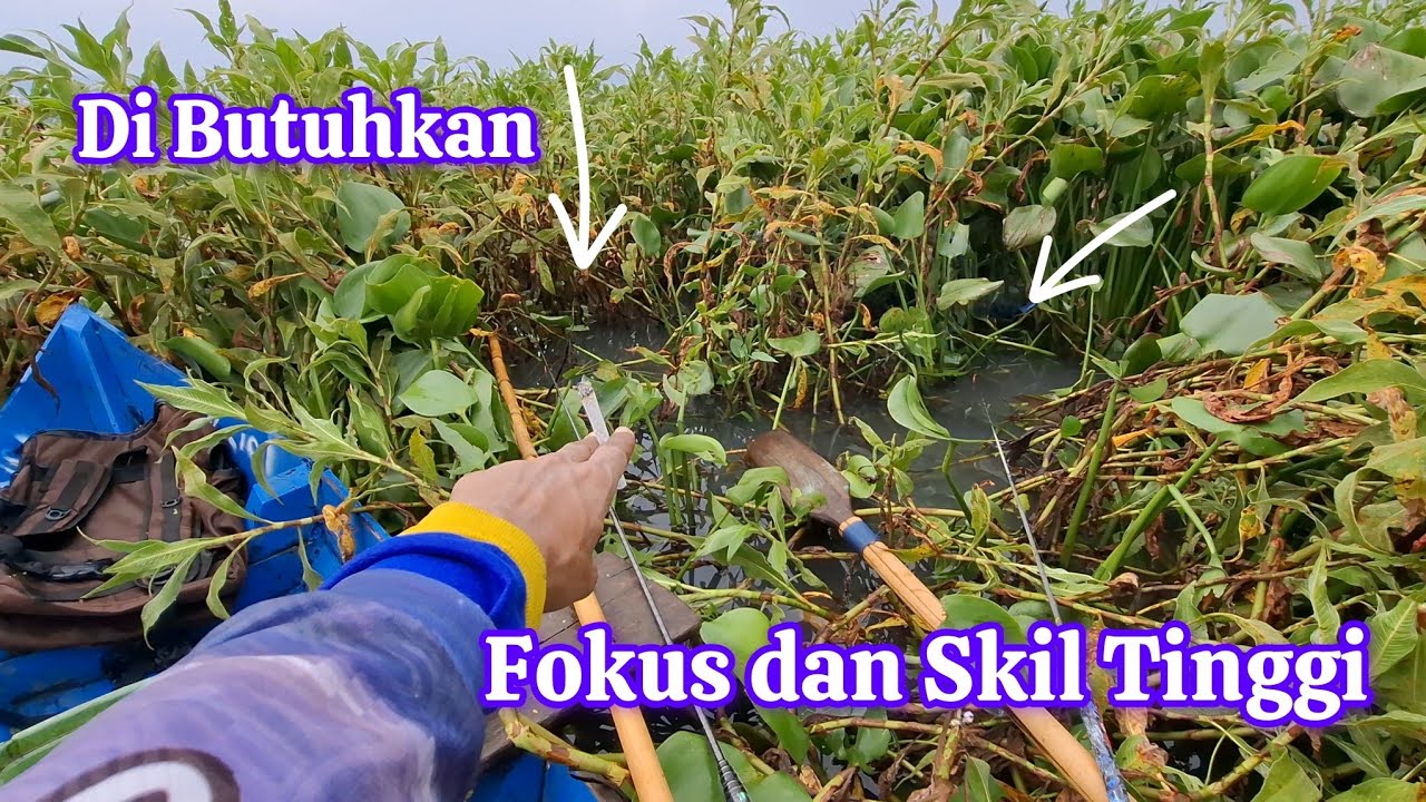 Adu Skill