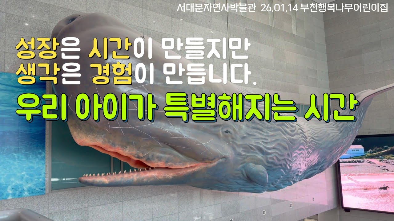 26년서대문 자연사 박물관 #경험 #공룡