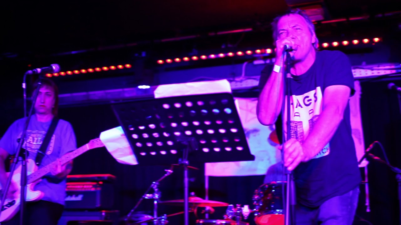 Bristol Punx Picnic 2019 - Pizza Tramp, Fuk, anarchistwood, Werecats, Anthrax