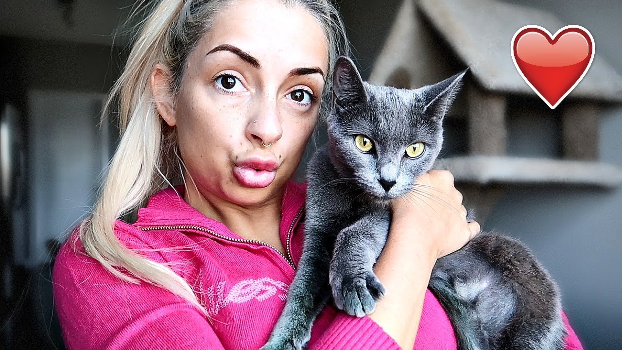 apparently I got a new cat.