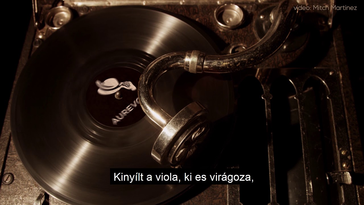 aurevoir. - Foly&oacute;v&iacute;z (Lyrics Video)
