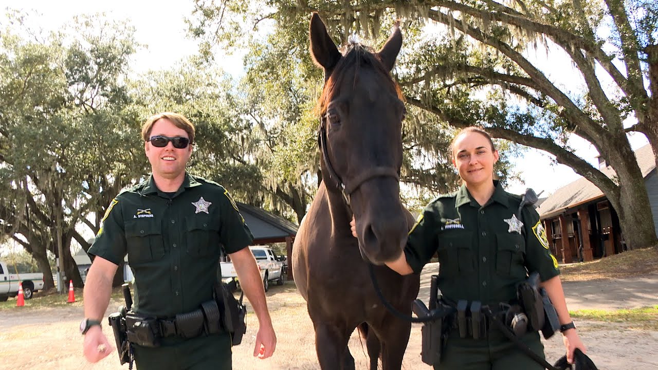 Tour the OCSO Mounted Patrol Stables and Training Facility