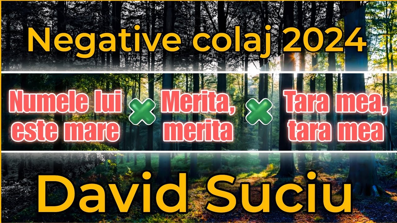David Suciu - Numele lui este mare, Merita merita, Tara mea tara mea - Negative colaj 2024