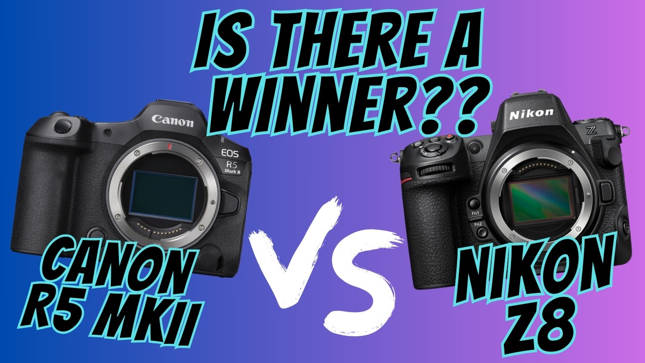 CANON R5 MKII против NIKON Z8 — СЪЁМКА ПТИЦ И ДИКИХ ПРИРОД