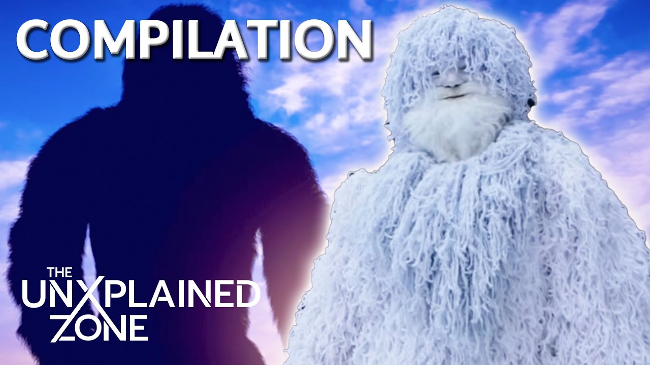 5 CHILLING Bigfoot Encounters! | The Proof Is Out There