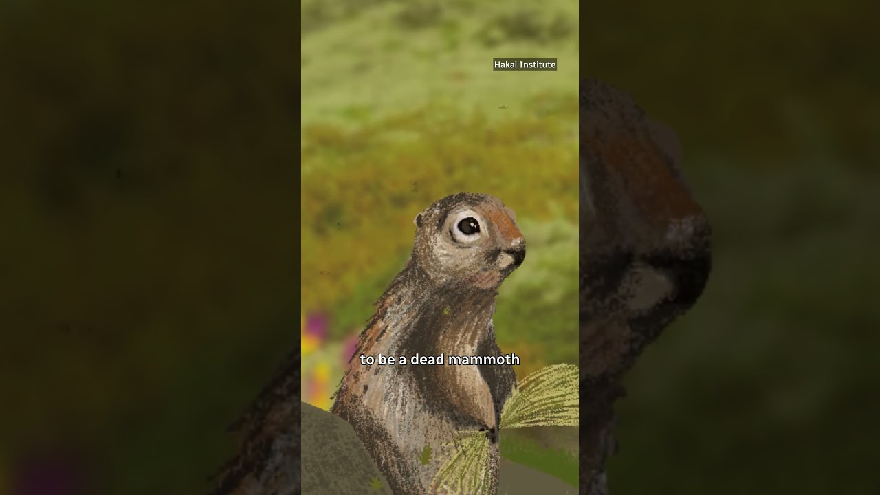 Bet you didn&rsquo;t know squirrels were &lsquo;accidental&rsquo; ice age archivists