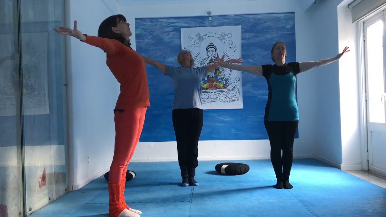 Yoga para e com surdos profundos - Associação de Yoga Integral de Portugal