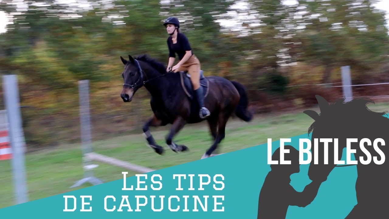 Les Tips de Capucine I Monter sans mors : le Bitless 👀🌱