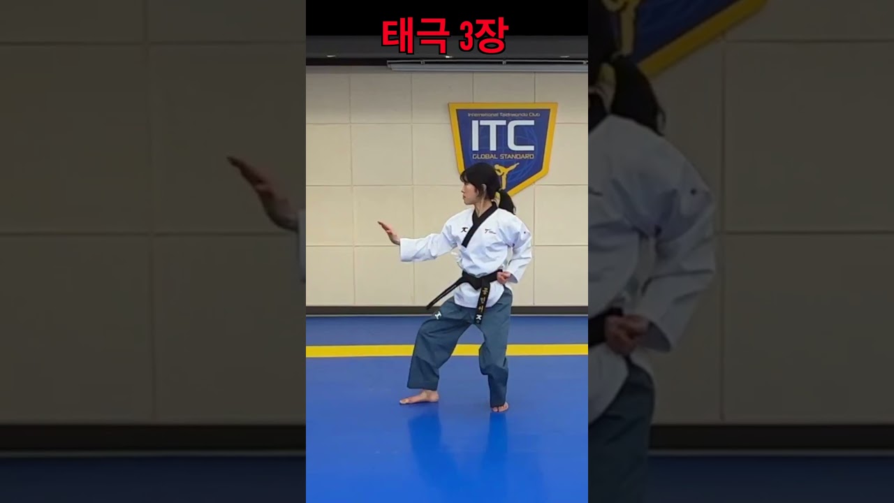 Taegeuk3 | Taegeuk Sam Jang | Poomsae | Taekwondo #shorts