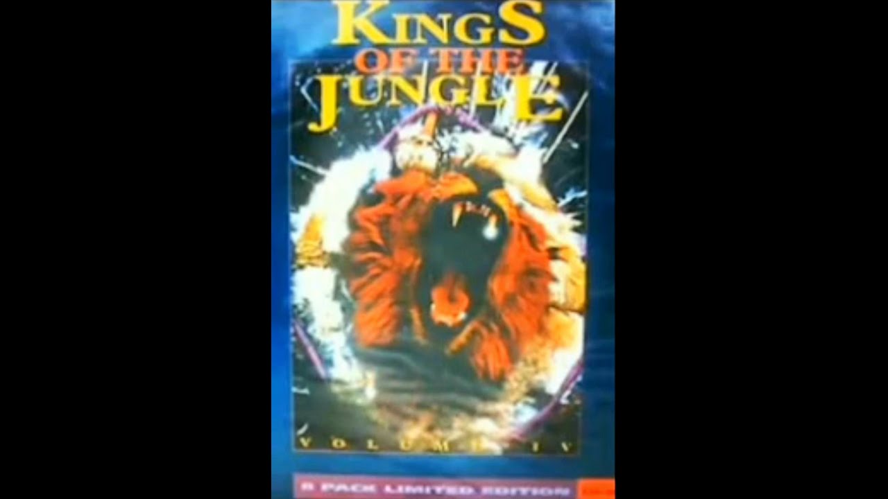 Darren Jay - King's Of The Jungle - Volume 4 (1994)