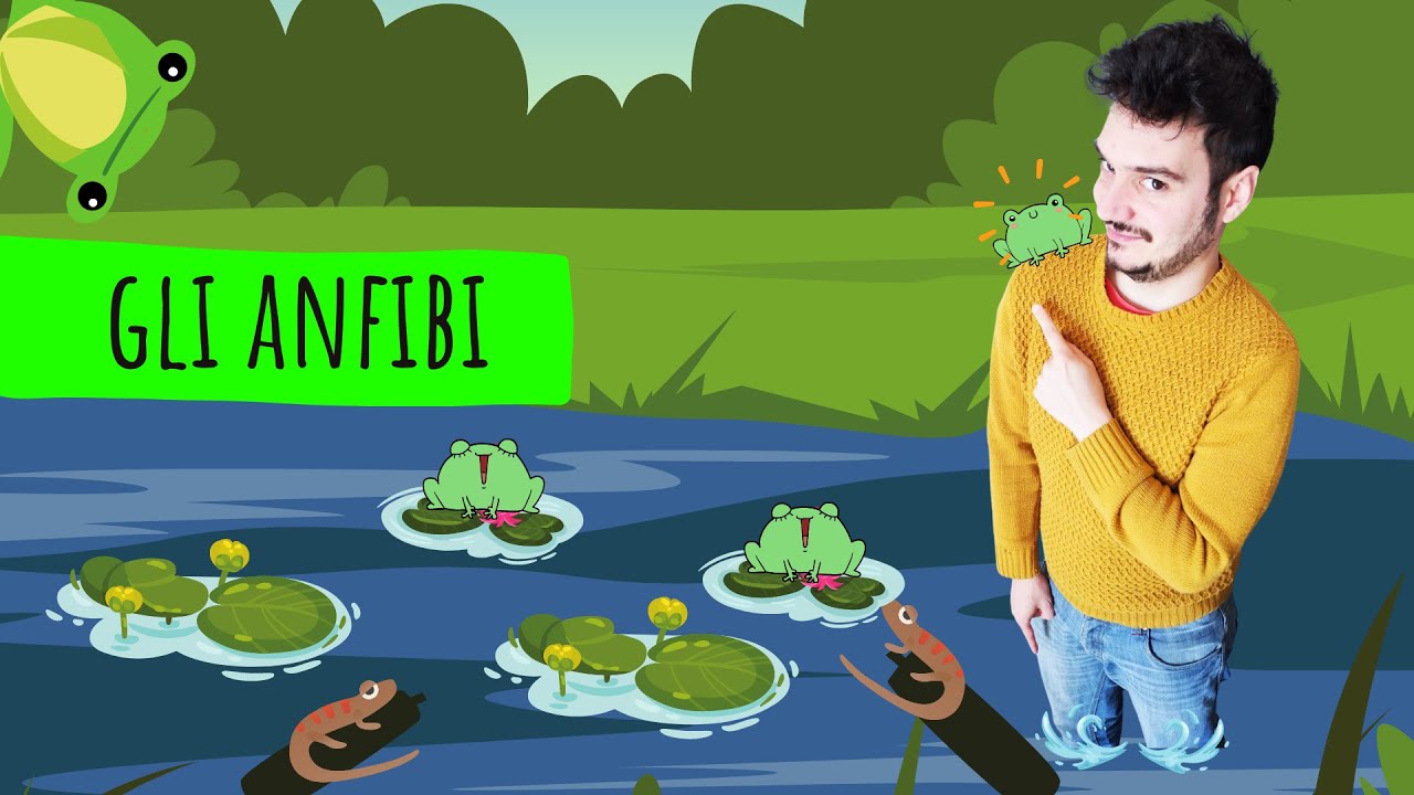 VERTEBRATI #2 - GLI ANFIBI - Le scienze spiegate FACILI