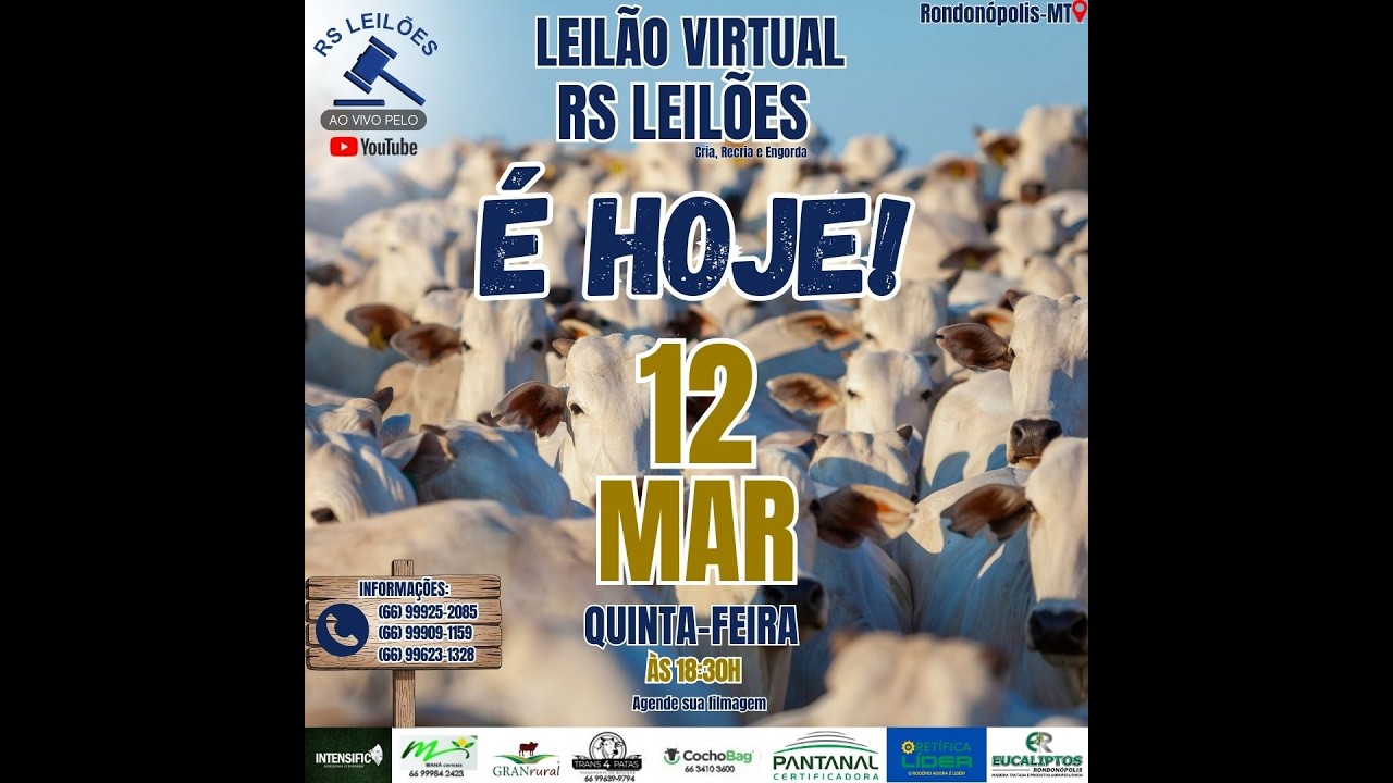 LEILÃO VIRTUAL RS LEILÕE 12 03 2026 QUINTA FEIRA 18:30 HORAS