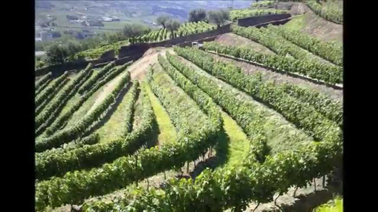 Vídeo Quinta das Parcelas Douro
