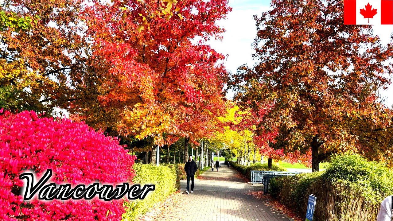🇨🇦【HDR】Vancouver Autumn Walk - Faliage on Seaside