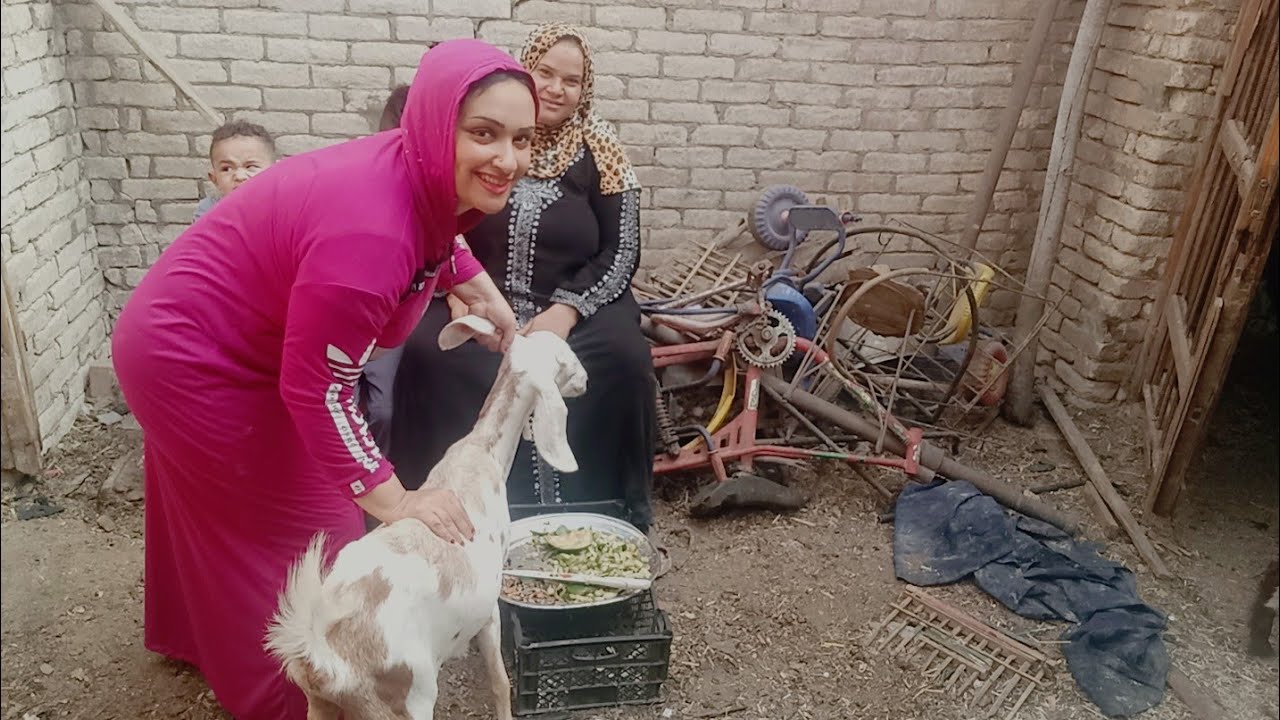 روتين عند الطيور فوق السطح واحلا وقت قضيته فوق😍😍