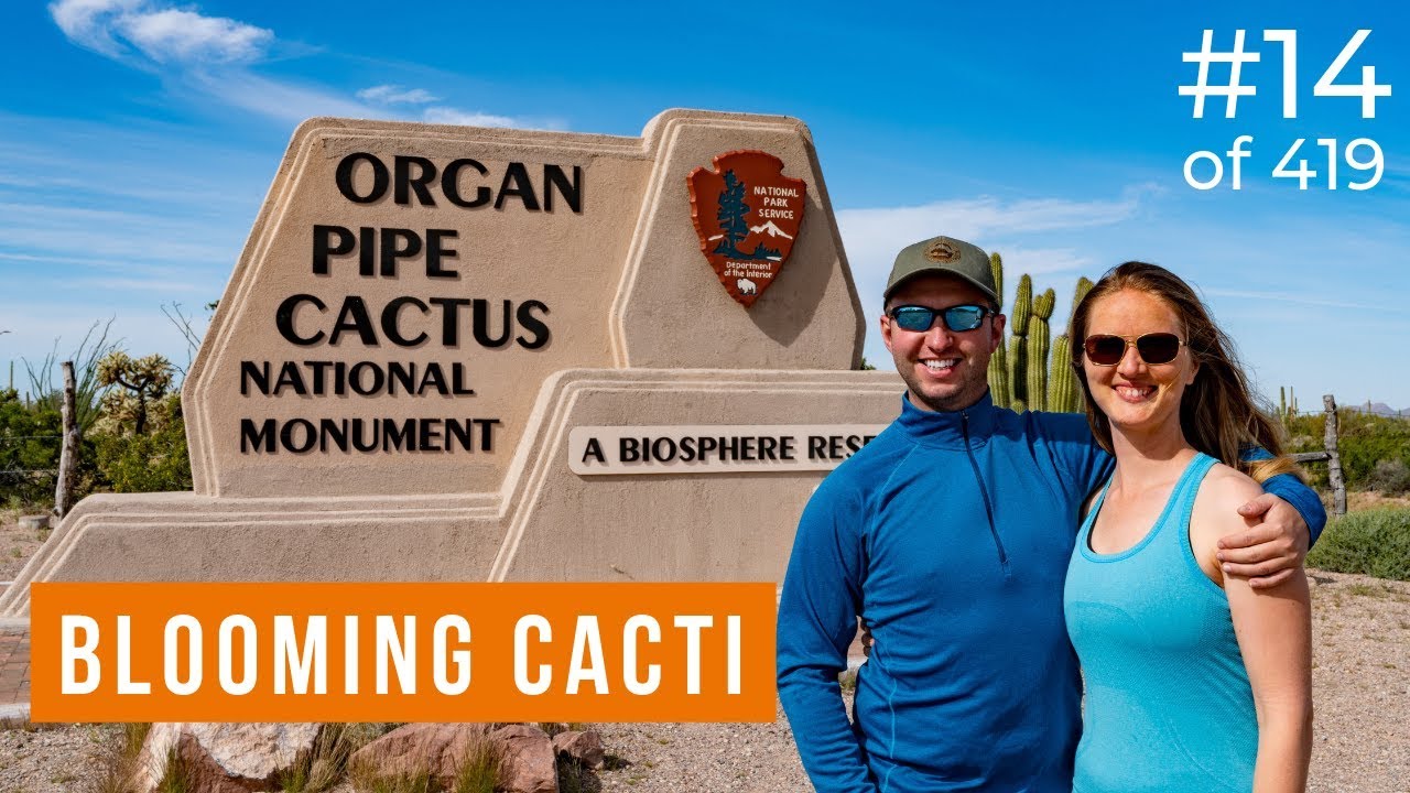 Ajo Mountain Drive in Organ Pipe Cactus National Monument (14 of 419)